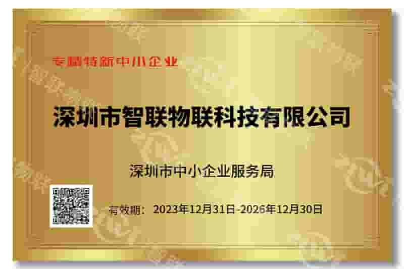 9888拉斯维加斯专精特新证书